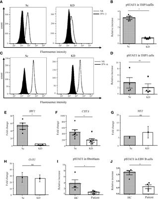 Partial human Janus kinase 1 deficiency predominantly impairs responses to interferon gamma and intracellular control of mycobacteria